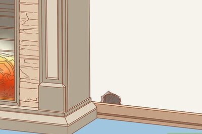 How to Prevent a Rat Infestation