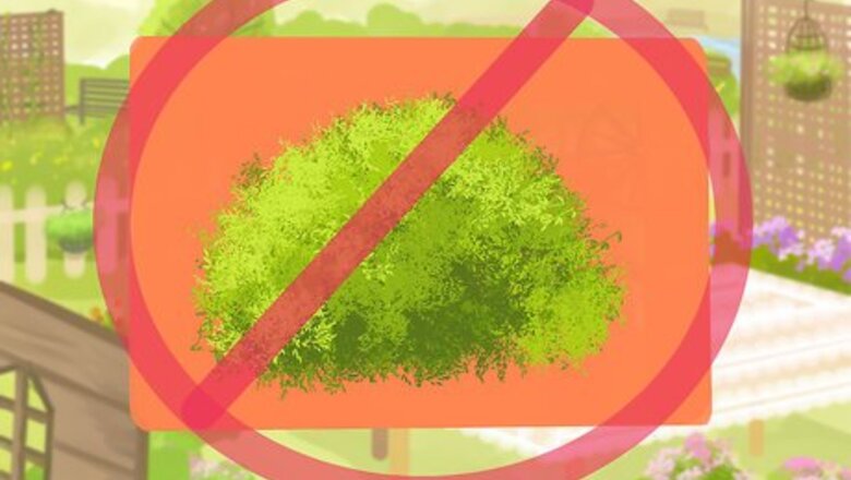 How to Plant a Deer‐Resistant Garden