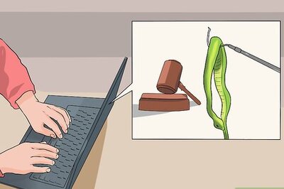 How to Look After a Venomous Snake