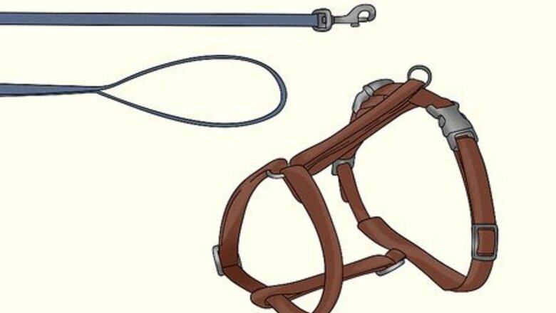 How to Travel Train Your Cat