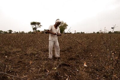 In Vidarbha, a Programme to Tackle Farmer Suicides
