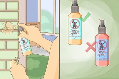 13 Ways to Get Rid of Love Bugs