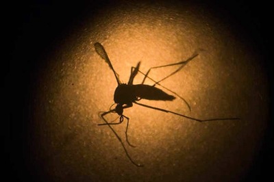 Florida Reports First Baby Born With Zika Virus Defects