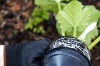 Differences Between Organic Food And Natural Food: All You Need to Know