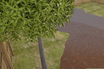 How to Grow Giant Pumpkins