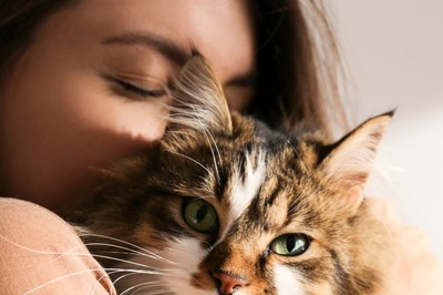 Does Your Cat Have Cancer? Signs To Look Out For