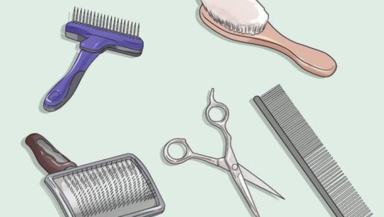 How to Groom a Rough Collie