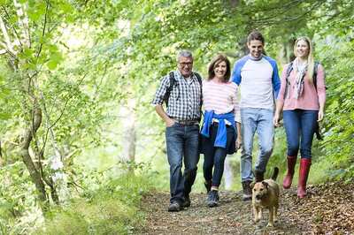 Lyme Disease: Some Essential Information to Know