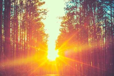 Aaj Ka Panchang, 19 April, 2024: Tithi, Vrat, and Today’s Shubh, Ashubh Muhurat