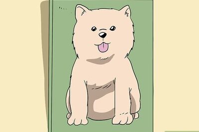 How to Convince Your Parents to Let You Have a Pet