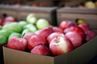 Apple That You are Eating Carries 100 Million Bacteria, Says Study