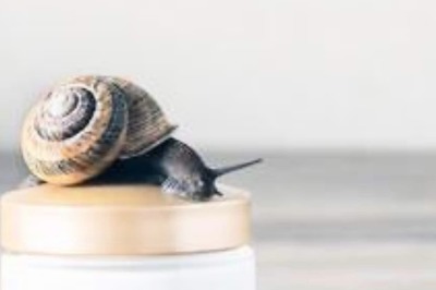 Science Backs Use Of Snail Mucin In Skincare Products For These Benefits