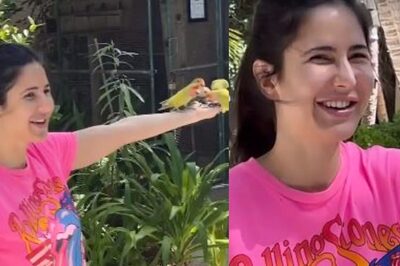 Katrina Kaif Gives a Glimpse of Her Solo Maldives Trip Without Vicky Kaushal, See Pics