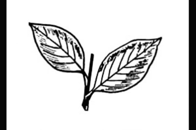 2 former ministers of DMK and PMK join AIADMK