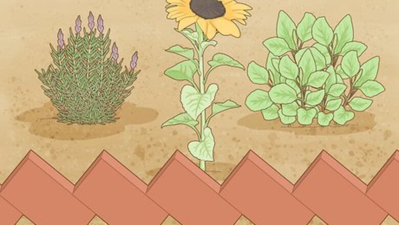 How to Maintain a Garden