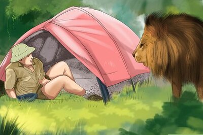 How to Survive a Lion Attack