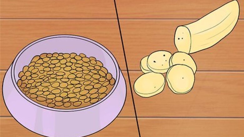 How to Choose Dog Treats
