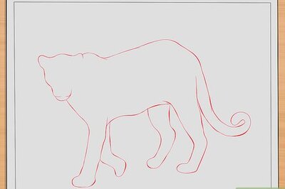 How to Draw Leopards