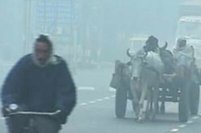 Govt primary schools in Delhi get 3-day cold break