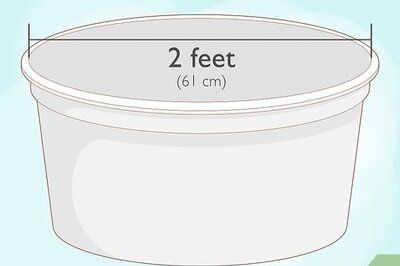 How to Make a Mini Pond