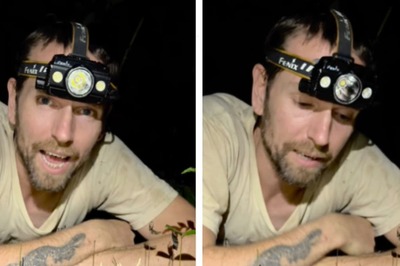 This Video Of Tarantula Infected By Zombie Fungus Is A Nightmare