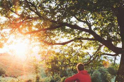 Project One Tree: Boosting Your Mood to Relieving Stress, Little Known Mental Health Benefits Of Trees