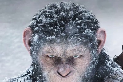 Kingdom Of The Planet Of The Apes Receives Glowing Early Reviews: 'Summer Blockbuster'