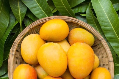 When is National Mango Day? History, Significance and Facts