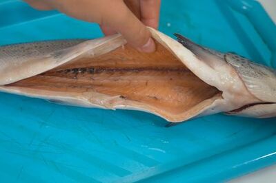 How to Cut a Salmon Steak