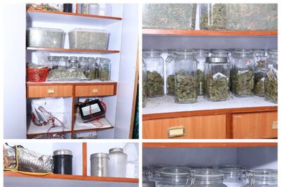 Bengaluru-based MBA Graduate Grows 'Hybrid Ganja' at Home Using LED Lights