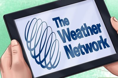 How to Treat Seasonal Allergies in Cats