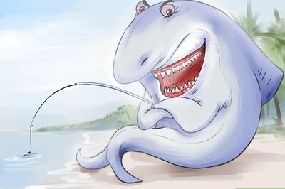 How to Have Fun in the Pool