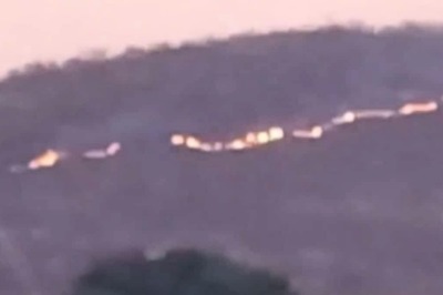 Wildfire In Somasila Forest of Andhra's Nellore, Efforts To Douse Blaze Underway