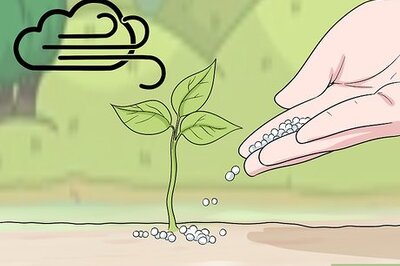 How to Apply Urea Fertilizer