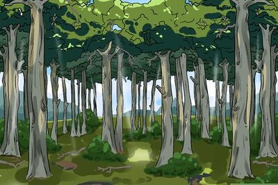 How to Build a Tarp Shelter