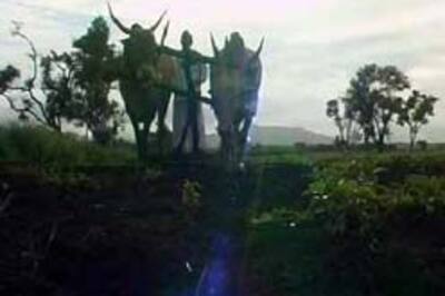 Farmer relief package not working