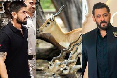 Blackbucks, the Bone of Contention Between Lawrence Bishnoi and Salman Khan, Sell for This Much in the Black Market
