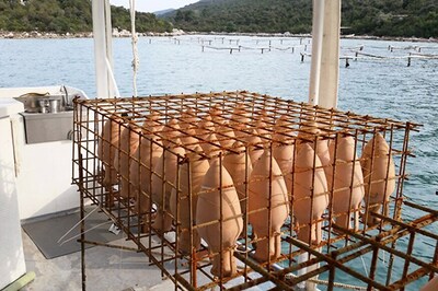 Diving With a Difference: Visit an Underwater Winery in Croatia