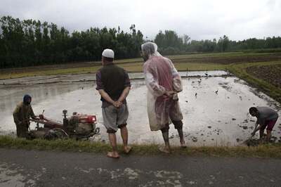 Retail Inflation for Agricultural Labourers Eases to 6% in Nov, Down to 5.86% for Rural Workers