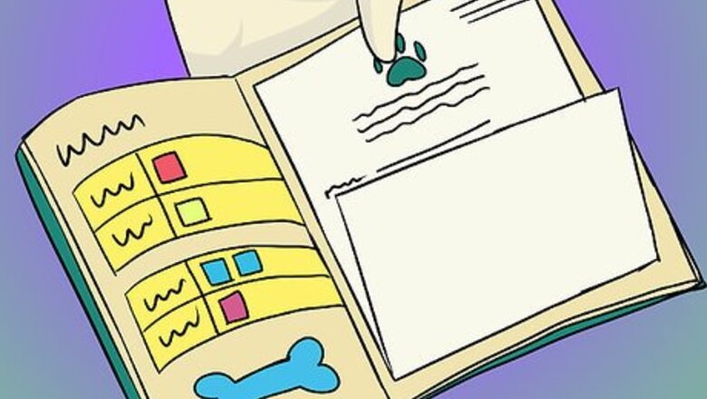 How to Go on a Car Trip With a Small Dog