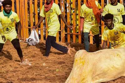 Tamil Nadu: Went to Watch Jallikattu With Family, 14-Year-Old Gored to Death By Bull