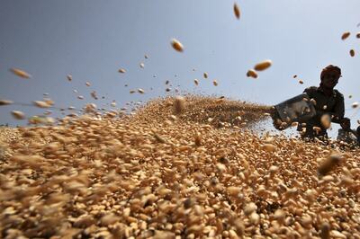 Guj Minister Suggests Vaccination as Precondition for Free Central Grains, Draws Flak