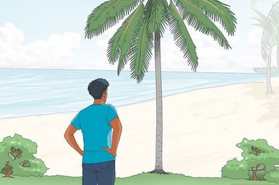 How to Climb a Tree With No Branches