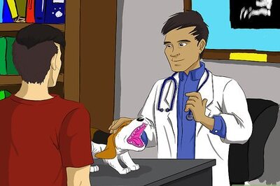 How to Ride a Bicycle with Your Dog