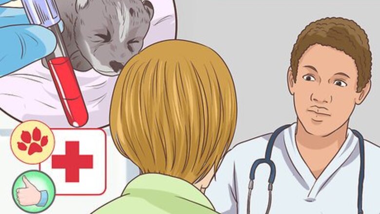 How to Prevent Disease in Orphaned Newborn Puppies