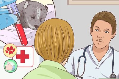 How to Prevent Disease in Orphaned Newborn Puppies