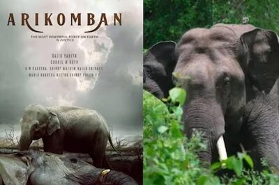 Arikomban, The Feared Rice-Eating Tusker, Now Subject Of A Film; First-Look Poster Out