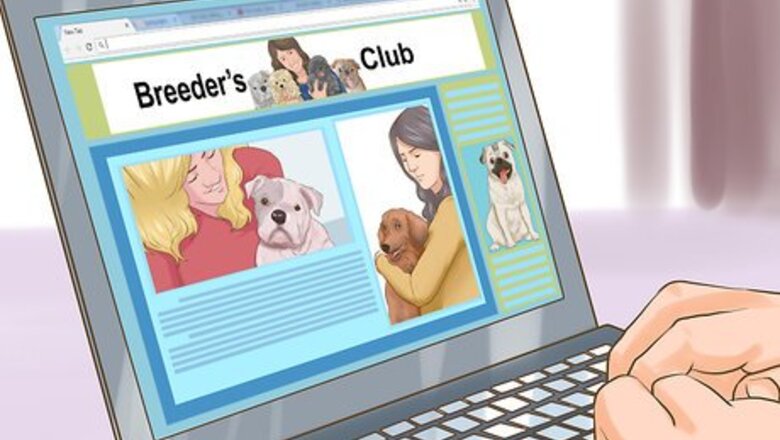 How to Check Dog Breed Bans