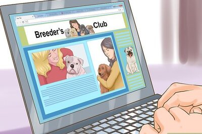 How to Check Dog Breed Bans