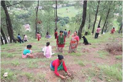 Forest Management By People, For People: A Look At Van Panchayats of Uttarakhand